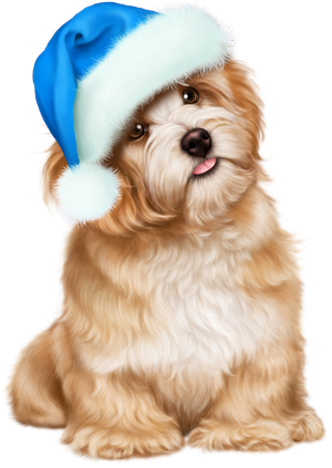 tube chien de noel 3D