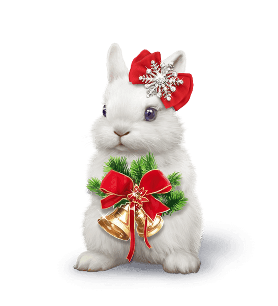 tube lapin de noel 3D