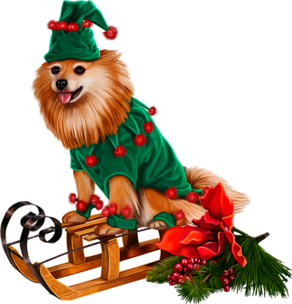 tube chien de noel 3D