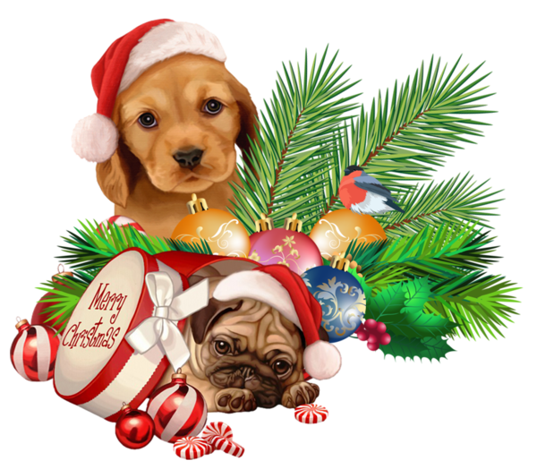 tube chien de noel 3D