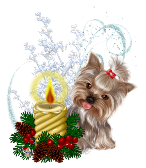 tube chien de noel 3D