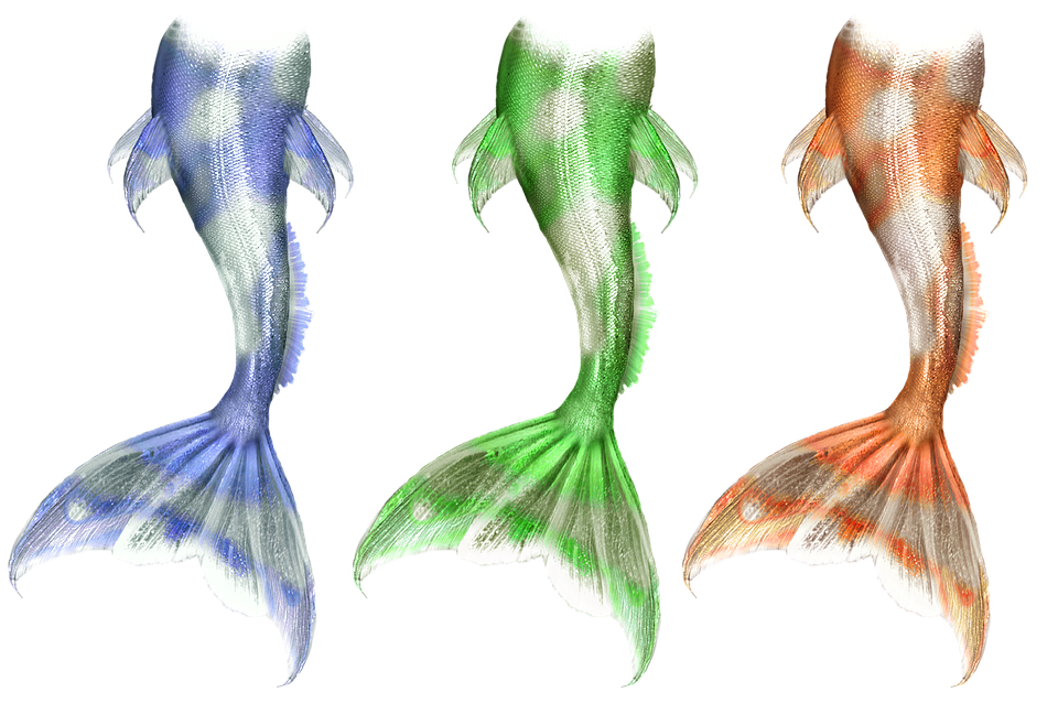 tube queues de sirene