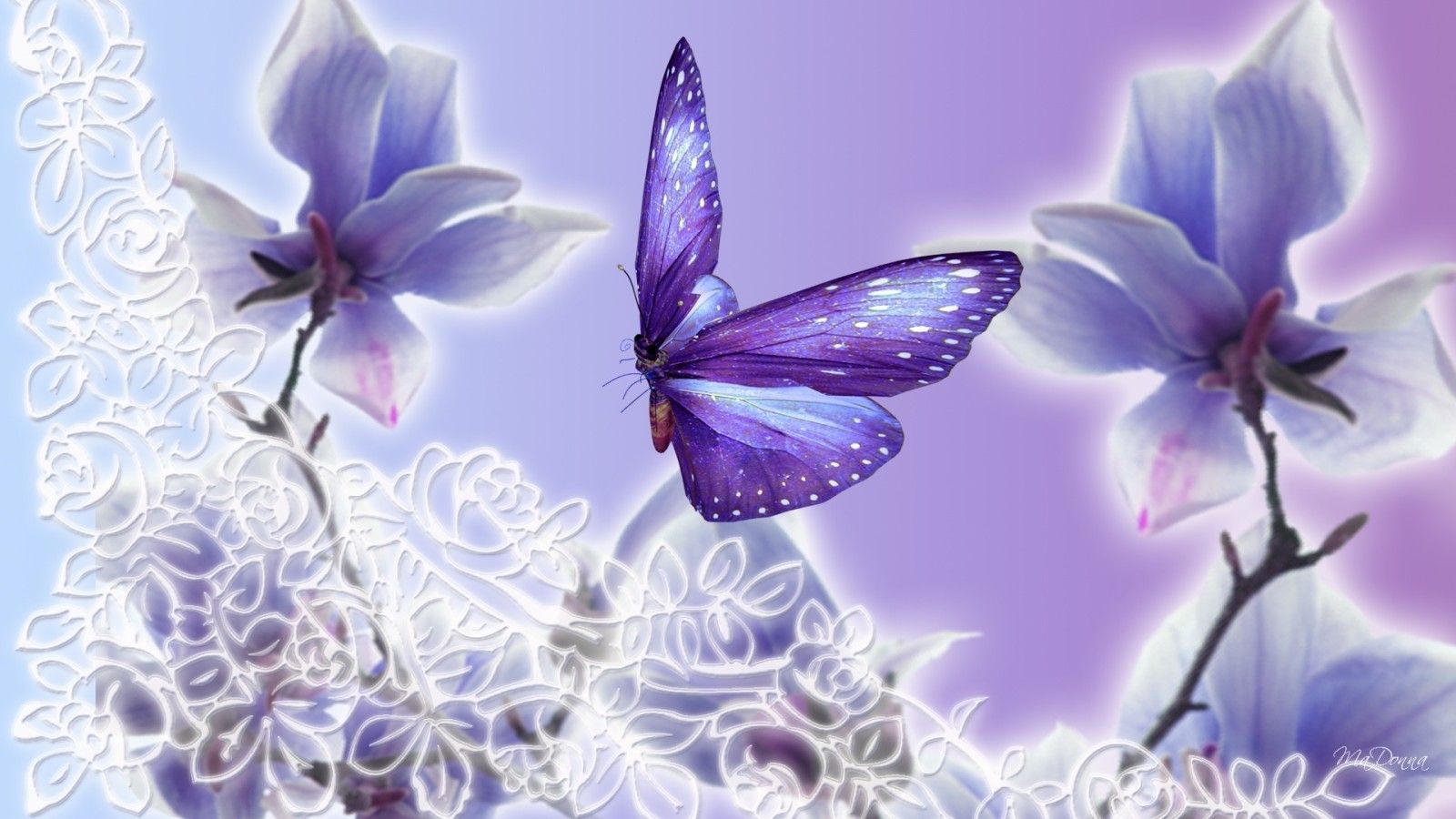 papillon bleu et violet